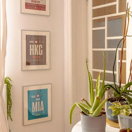 First بيت شباب